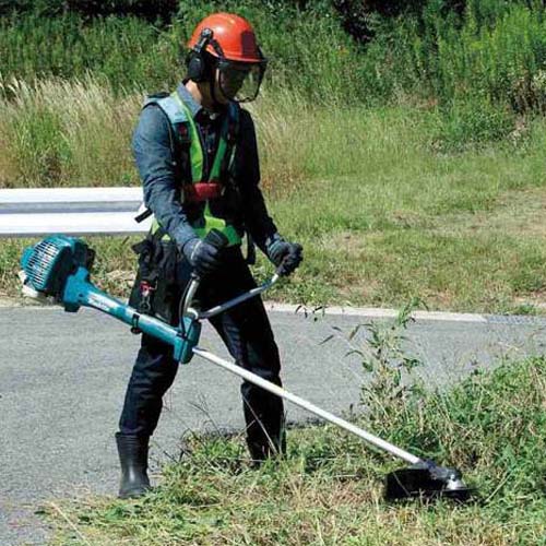 Roupa e jardim proteção e floresta