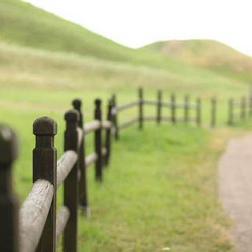 Fences and hedges